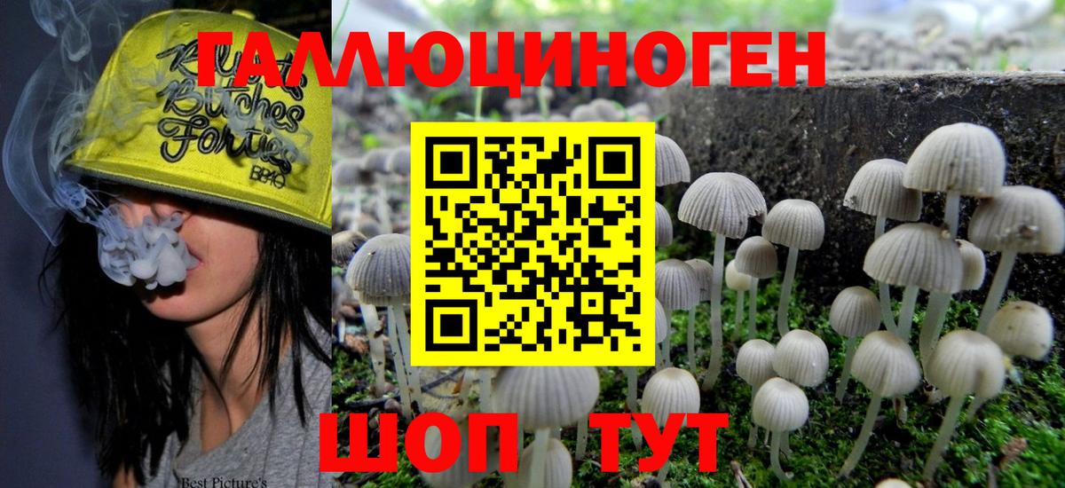 Галлюциногенные грибы MAGIC MUSHROOMS Сергиев Посад