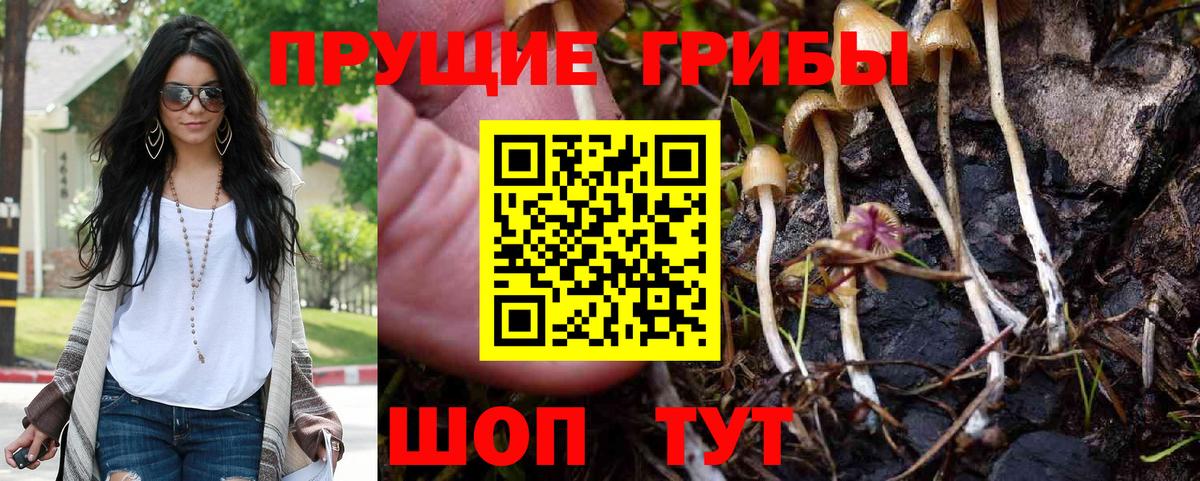 Псилоцибиновые грибы Magic Shrooms  Вход с VPN  где купить наркоту  Сергиев Посад 