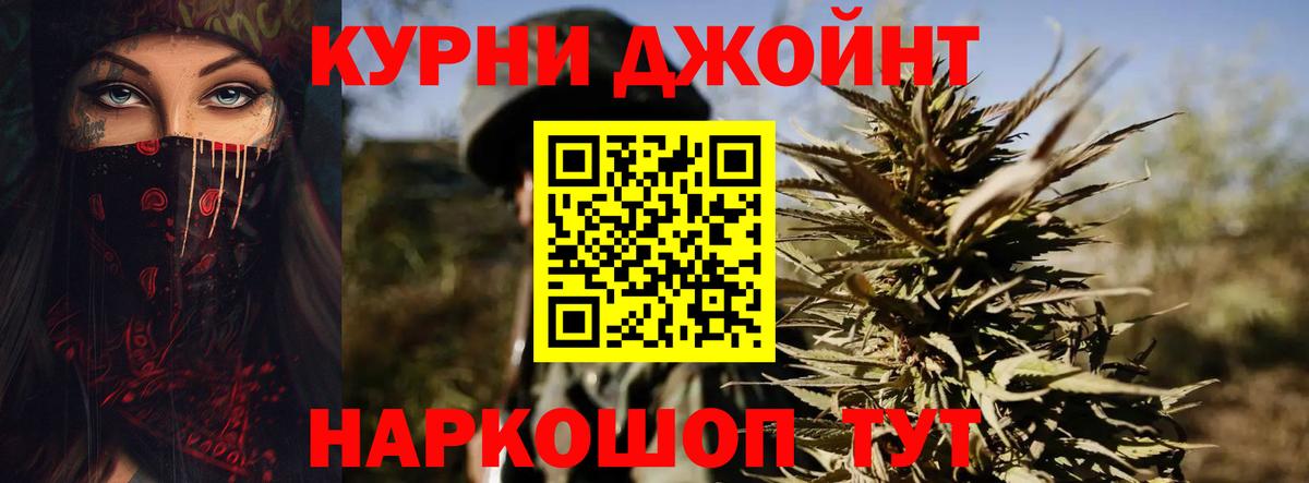 Бошки Шишки планчик Сергиев Посад